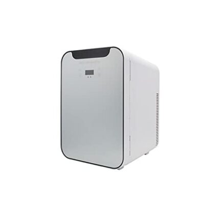 SDFGH Mini Portable Refrigerator Compressor Fridge Freezer Skin Care Cosmetic Single Door Refrigeration Foy Car Home