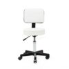 WALNUT Bar Stool Hair Chair Swivel Chair Adjustable Lift Stool Swivel Stool Spa Tattoo Massage Salon Furniture