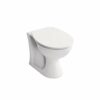 Armitage Shanks Sandringham 21 Toilet Seat, E131601, White