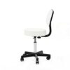 WALNUT Bar Stool Hair Chair Swivel Chair Adjustable Lift Stool Swivel Stool Spa Tattoo Massage Salon Furniture