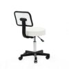 WALNUT Bar Stool Hair Chair Swivel Chair Adjustable Lift Stool Swivel Stool Spa Tattoo Massage Salon Furniture
