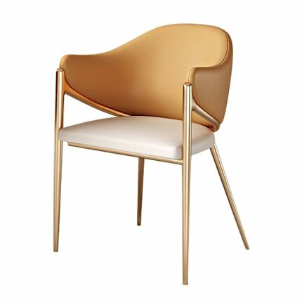 LXXSH Comfortable Dinning Chair Designer Metal Office Bedroom Dining Chairs Kitchen Ornaments