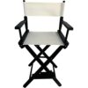 TBACW 2 Set (4pcs) Directors Chair Canvas Replacement Covers Kit for Directors Chairs,Movie Chair Replacement Canvas Seat and Back Oxford Cloth C