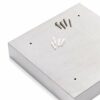 Zeller 13890 Key Cabinet 30 x 6 x 30 cm Glass and Stainless Steel