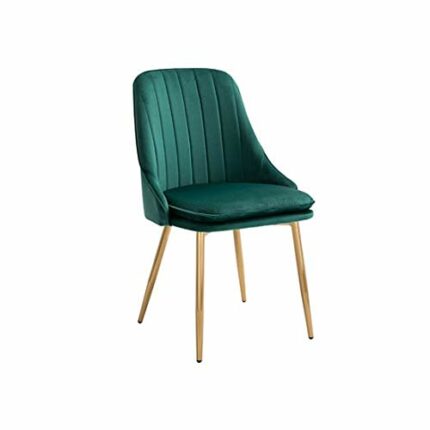 WALNUT Modern Minimalist Dining Chair Sponge Restaurant Furniture Chair Restaurant Modern China Iron Chair Wood Kitchen Rest (Color : C)