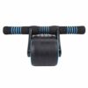 Exercise Wheel, 2 Wheels Abdominal Roller Kit Push Up Strength Training Gym Fitness Equipment for Men Women Exercise Indoors (Blue)