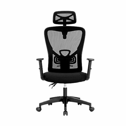ALPHA HOME Ergonomic Office Chair, High Back Mesh Computer Chair Task Chair with Adjustable Headrest, Armrest and Lumbar Support, Work Chair Swiv