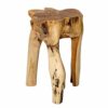 Brillibrum Design Teak Root Wood Table Made from One Piece Solid Unique Side table Root stool Flower table Stool Coffee table Wooden block Real w