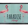 Carpido Doormat Interior Dirt Trapper Mat – Non-Slip Entrance Mat Washable Doormat 40 x 60 cm Flamingo Design – Suitable