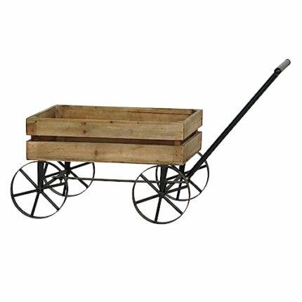 DKD Home Decor Garden Cart, Estándar