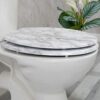 Anika 92499 Marble Effect Toilet Seat Anti Bacterial Coating Chrome Hinges, 43cm x 37.5cm