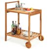 DINGZZ 2-Tier Rolling Kitchen Trolley Cart Dining Serving Cart Outdoor W/Wheels With Solid Wood Countertop And Spice Rack