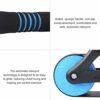Exercise Wheel, 2 Wheels Abdominal Roller Kit Push Up Strength Training Gym Fitness Equipment for Men Women Exercise Indoors (Blue)