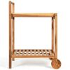 DINGZZ 2-Tier Rolling Kitchen Trolley Cart Dining Serving Cart Outdoor W/Wheels With Solid Wood Countertop And Spice Rack