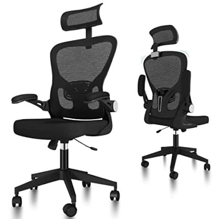 Holengain Ergonomic Office Chair with Arms and Back Support, Desk Chair with Adjustable Lumbar Support for Home Office, Mesh Office Chair Heavy D