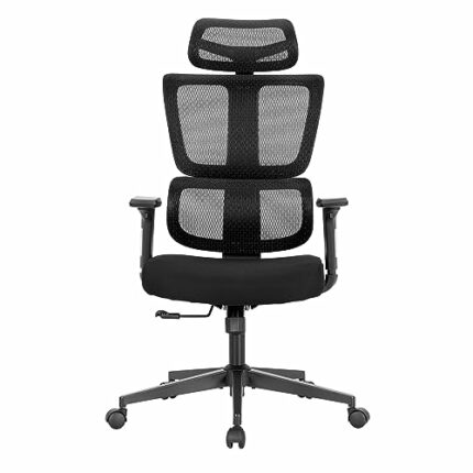 ALPHA HOME Ergonomic Mesh Office Chair, High Back Comfortable Task Chair, Modern Desk Chair with Adjustable Lumbar Support and Headrest - Extra S