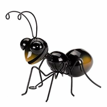 Flamboya Ant - Large