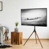 VIVO Artistic Easel 45 to 65 inch LED LCD Screen, Studio TV Display Stand, Adjustable TV Mount with Swivel and Tripod Base STAND-TV65A