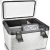 ZXFYHD Car Fridge,Car Refrigerator Fridge Refrigerator Freezer Car Fridge/Car Gift/Small Fridge 19L / Car Cosmetics Small Fridge / 12V / For Home