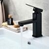 Bathroom Sink Taps, Hot& Cold Water Mixing Tap, Basin Faucet with Single Lever with Standard Hoses and Accessories, Stainless Steel, Black