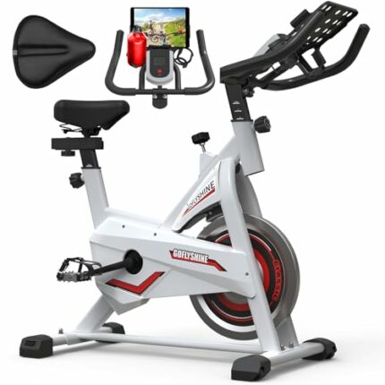 GOFLYSHINE Exercise Bikes/Magnetic Resistance Exercise Bike for Home Indoor Cycling Bike for Home Cardio Gym,Workout Bike with Saddle Cover, Ipad