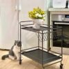 BHVXW Kitchen IslandsFurniture Mobile Table Wine Dining Car Designer Golden Glass Storage Trolley (Color : D, Size : 1pcs)