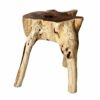 Brillibrum Design Teak Root Wood Table Made from One Piece Solid Unique Side table Root stool Flower table Stool Coffee table Wooden block Real w