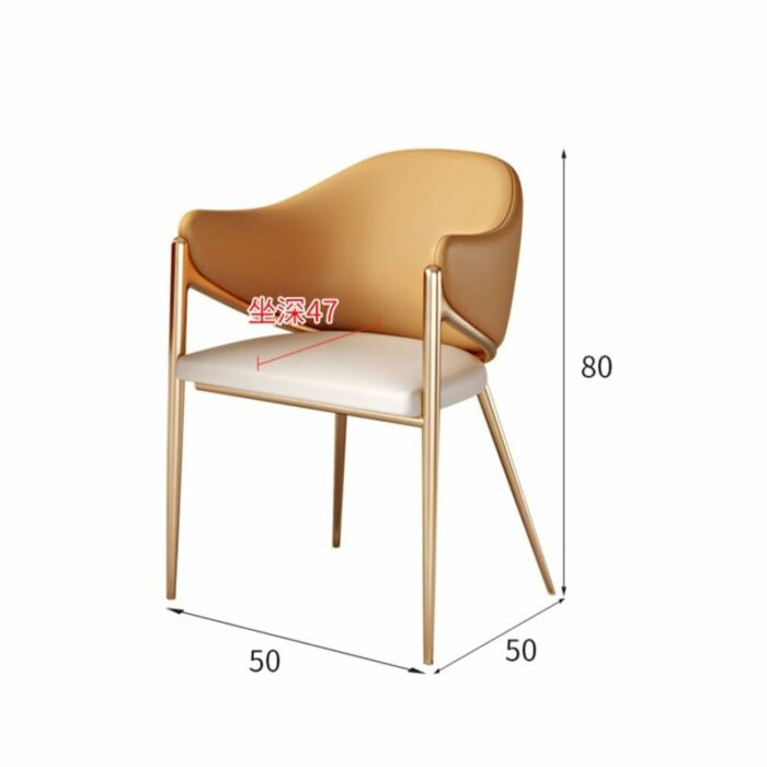 LXXSH Comfortable Dinning Chair Designer Metal Office Bedroom Dining Chairs Kitchen Ornaments