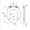 Bemis 4100ZCLT047 Phoenix Toilet Seat, Black
