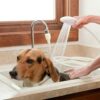 1 Pc Portable Handheld Shower Head and Hose Pet Showerhead Single Tap Hand Held Shower Sprayer for Bathing Baby Pets Vegetables