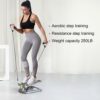 DHT Dynamic Health Tech,Stair Stepper with Resistance Band and Calories Count, Mini Stepper for Exercise，Health & Fitness Exercise Stepping Machi