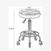 DINGZZ Bar Stools Adjustable Lifting Chair for Home Restaurant Beauty Tattoo Stool Creative Minimalist Barstools