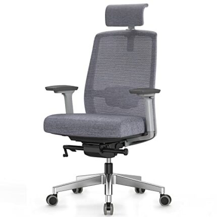 Duwinson Ergonomic Mesh Home Office Chair With Back Support, 4-Way Adjustment Armrest, Executive Desk Chair with Reclining Adjustment, Adjustable