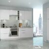 Berlioz Creations CP4BB One door kitchen base cabinet High Gloss White 40 x 52 x 83 cm