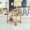 DINGZZ 2-Tier Rolling Kitchen Trolley Cart Dining Serving Cart Outdoor W/Wheels With Solid Wood Countertop And Spice Rack