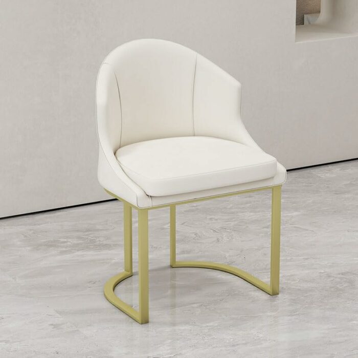 LUKEO Dining Chairs Design Metal Executive Backrest Chair Leisure Ergonomic Kitchen Furniture (Color : D, Size : Light Grey)