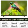 TV Base Stand for Hisense TV Stand, TV Stand Legs for Hisense A6 Series 43" 50" 55" 60" 65" TV, for 43A6G 50A6G 50A6GX3 55A6G 60A6G 65A6G, Replac