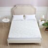 BUBBESHEEP 360° Zippered Bamboo Matress Protector (Full XL)