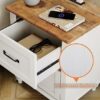WAMPAT End Table, Wood Nightstand with 2 Drawers, Sofa Side Table with with Storage for Living Room, Mid Century Bedside Table for Bedroom, Antiq