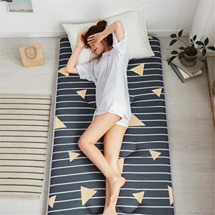 YLYAJY Foldable Tatami Mat Single Double Suitable for Student Dormitory Bed Mat Mattress Medium Thicken Mattress Breathable (Color : D, Size : 10