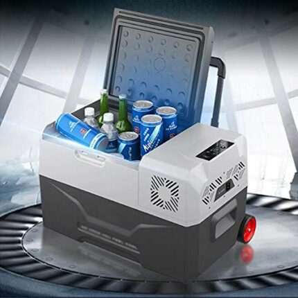 SDFGH 30/40/50L Refrigerator Auto-Refrigerator 12V Portable Mini Fridge Compressor Car Refrigerator Car Fridge Camping Nevera Portatil (Size : 40