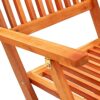 vidaXL 8x Folding Garden Chairs Outdoor Patio Terrance Backyard Furniture Wooden Foldable Dining Dinner Chair Seat Solid Eucalyptus Wood