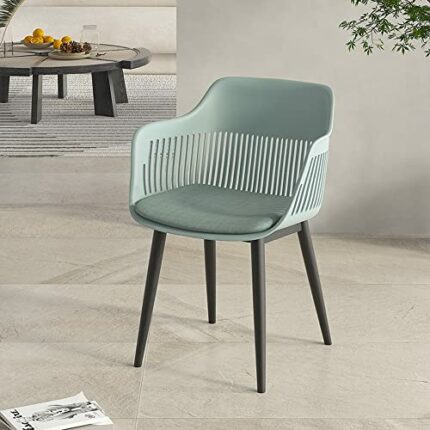 LIUZH Nordic Dining Chairs Designer Design Dining Chairs Plastic Transparent Sillas Computer Chai (Color : Argento, Size : 1code)
