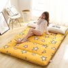 UE-MAOLU Futon Mattress, Thicken Tatami Mat Sleeping Pad Foldable Roll Up Mattress Boys Girls Dormitory Mattress Pad Kids Floor Lounger Pillow (C