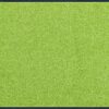 wash+dry Door Mat Apple Green 60x90 cm green