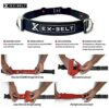 EX-BELT Resistance Band Belt (Set of 5) - Home Gym Fitness Equipment - 1 Revolutionary Exercise Belt with 4 Resistance Bands for Upper Body Stren