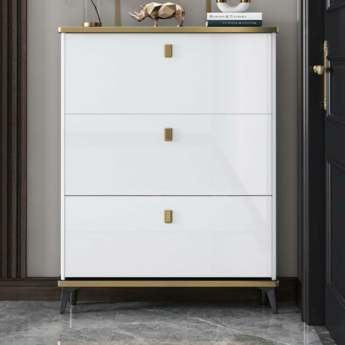 TJLSS Household Furniture Shoe Cabinet Dormitory Hallway Entrance Shoe Rack Apartment Hotel Storage Rack Shoe Rack (Color : D, Size : 100 * 17 *