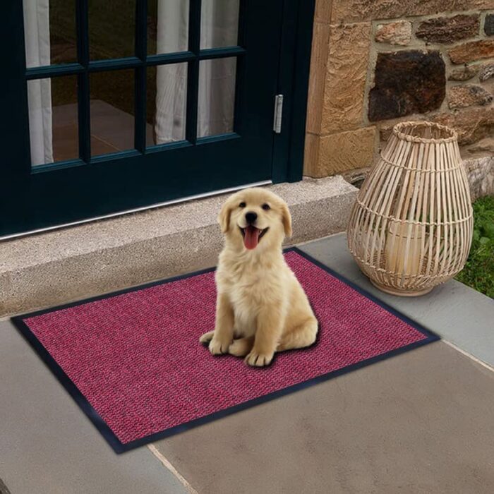Ranjha's door mat ideal choice anti slip door mats indoor trendy washable door mat superb absorbent hard wearing entrance mats suitable for all f