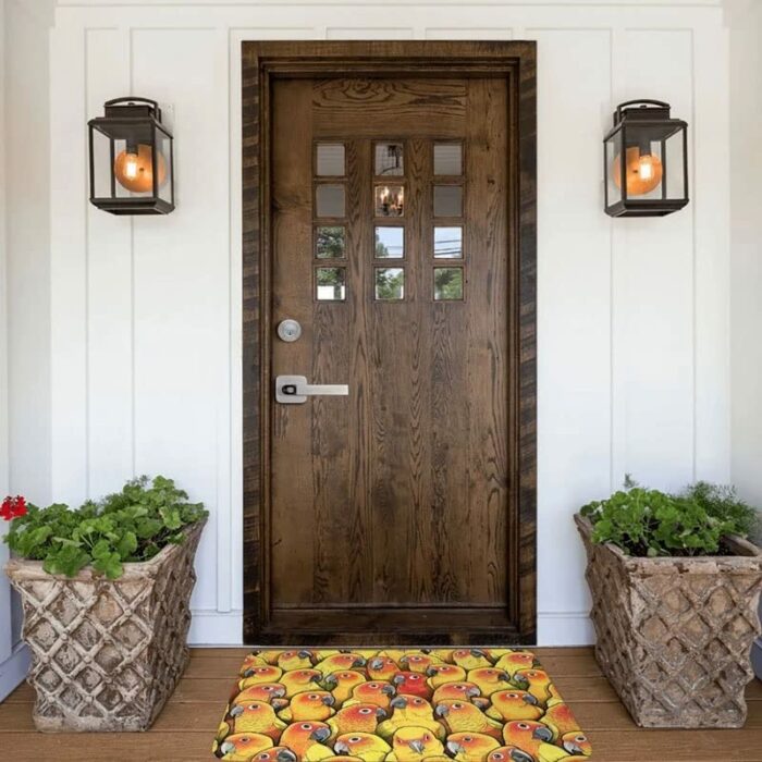 SDFGH Polyester Doormat Rug Carpet Mat Footpad Non-slip Durable Entrance Kitchen Bedroom Balcony Toilet (Color : D, Size : 60x90cm)