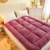 Winter Futon Mattress single double Japanese Style Floor Mattress Roll Up Mattress,Topper Sleeping Pad Portable Mattress for Bedroom Guest Room (